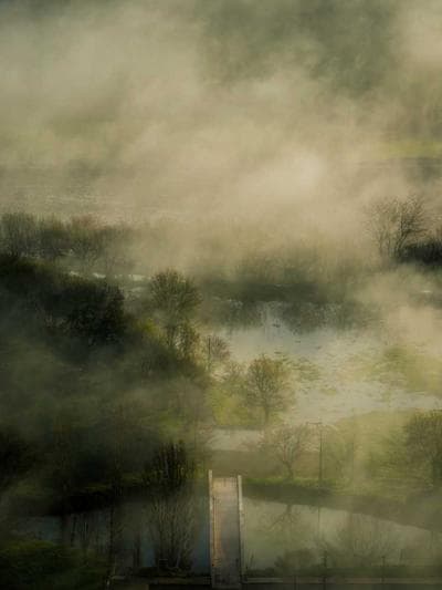 갤러리 사진 상단 4