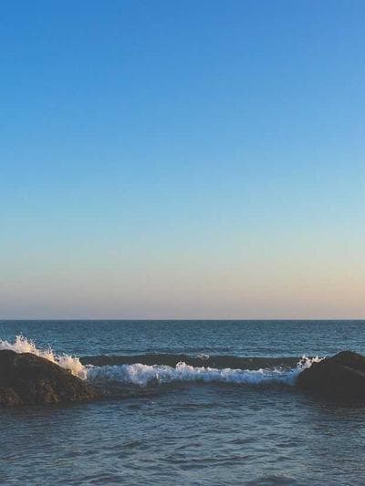 갤러리 사진 하단 1