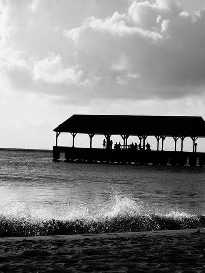 갤러리 사진 하단 3